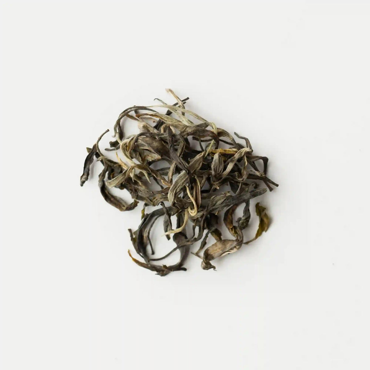 Gongnong Shaiqing Premium 2026 Vintage