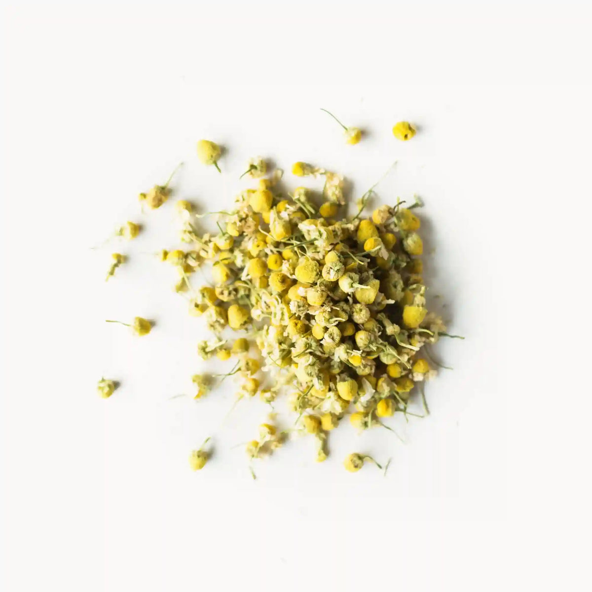 Golden Chamomile Blossoms