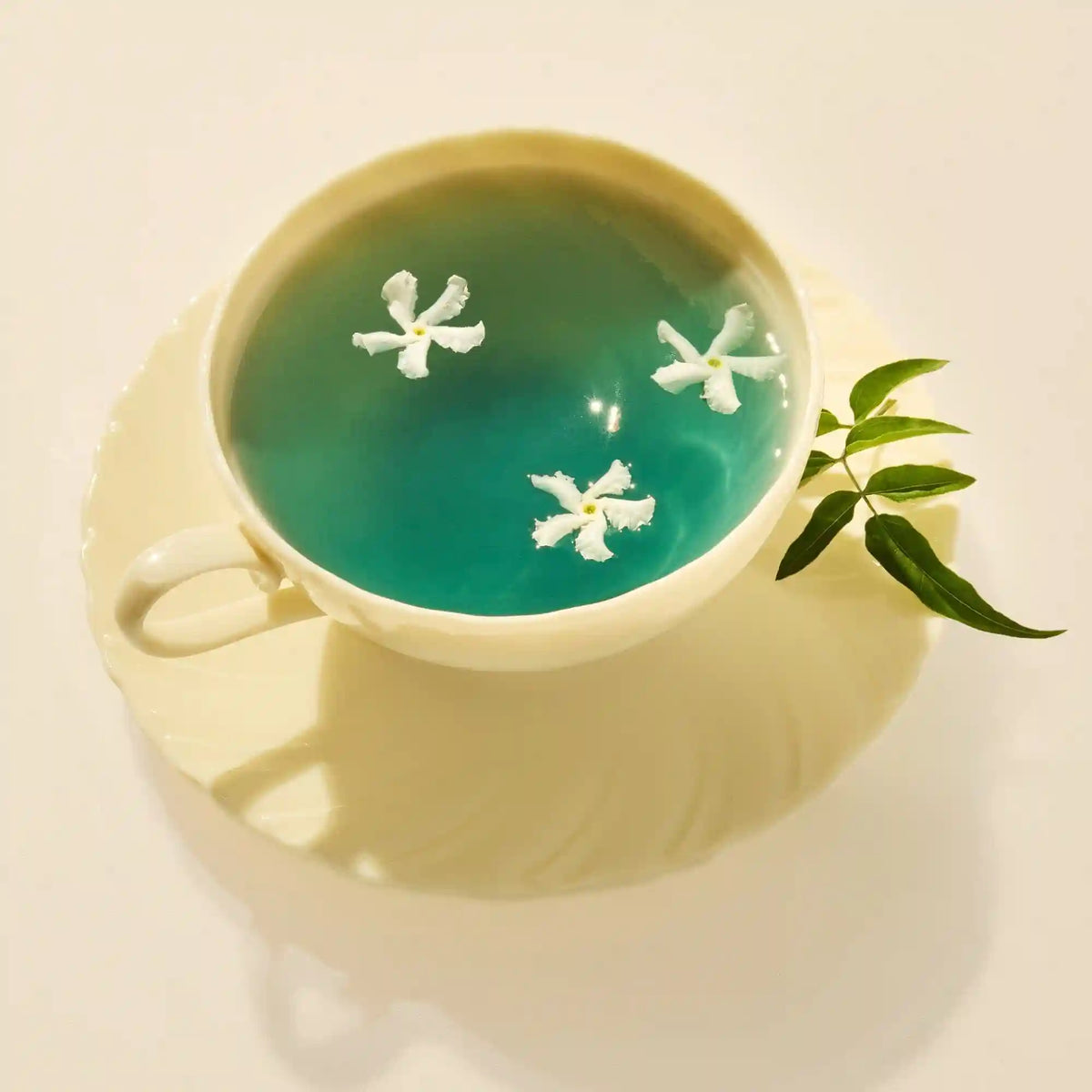 Blue Jasmine